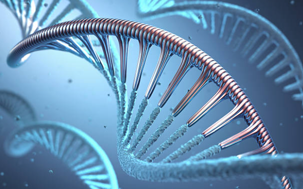 Synthetic Biology
